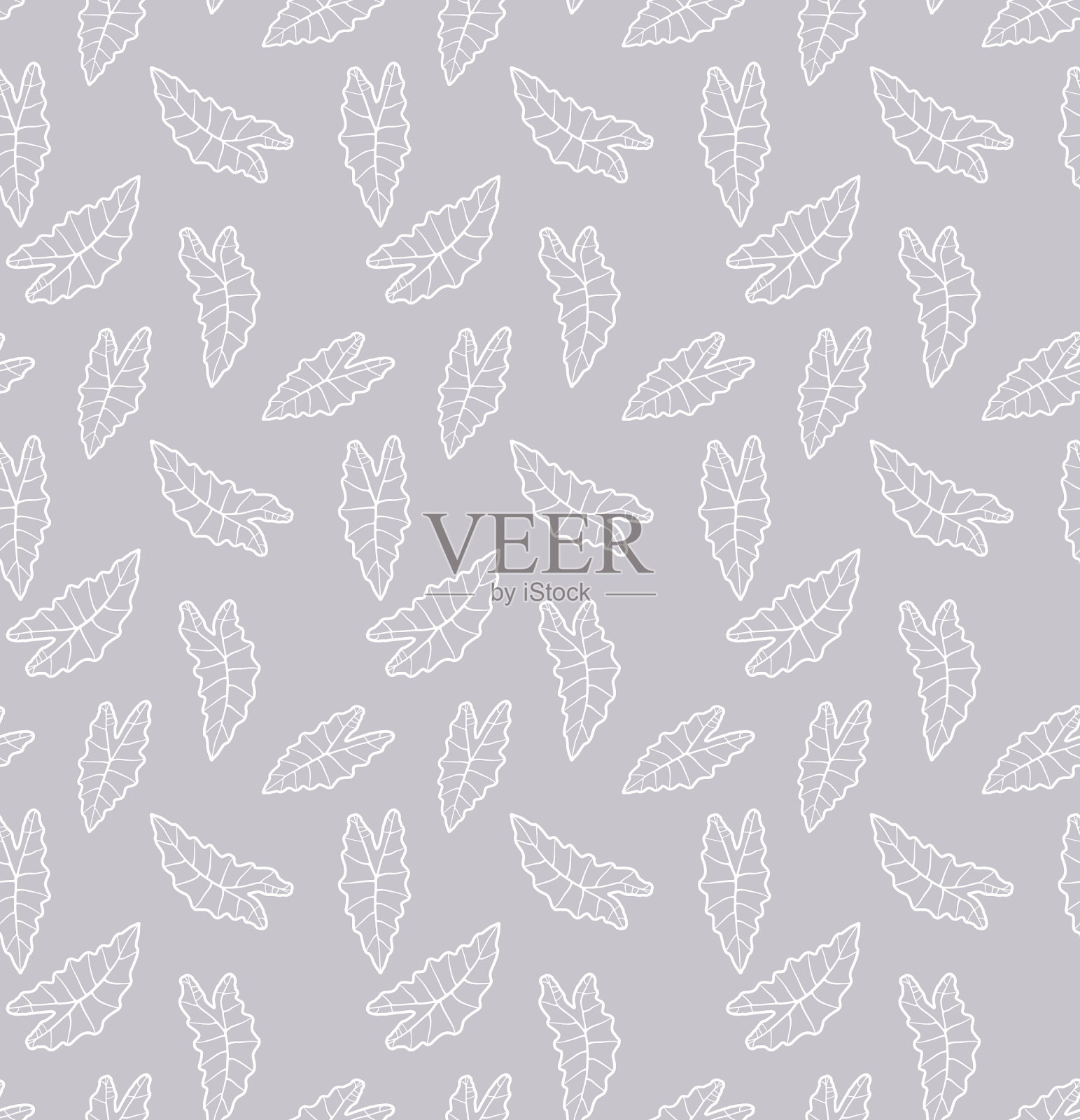 叶子的模式插画图片素材