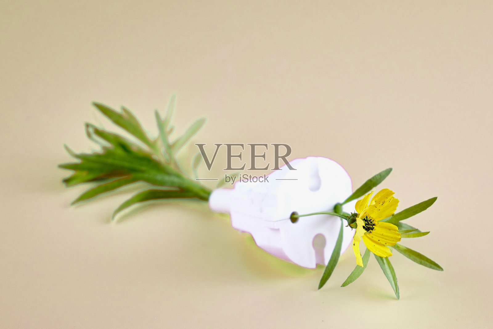 花草生长的概念生态清洁能源电插头照片摄影图片