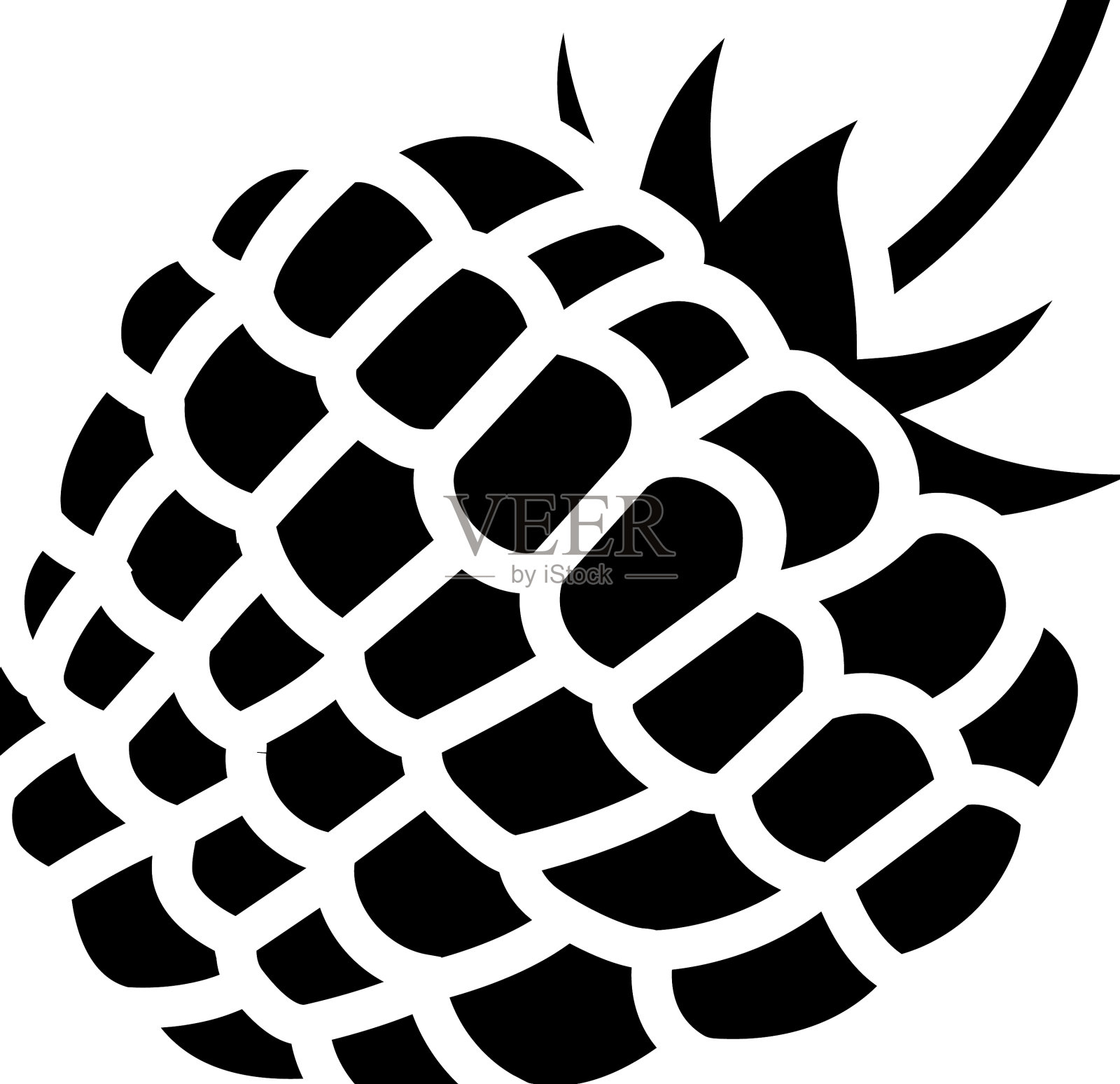 树莓浆果叶雕文图标插画图片素材