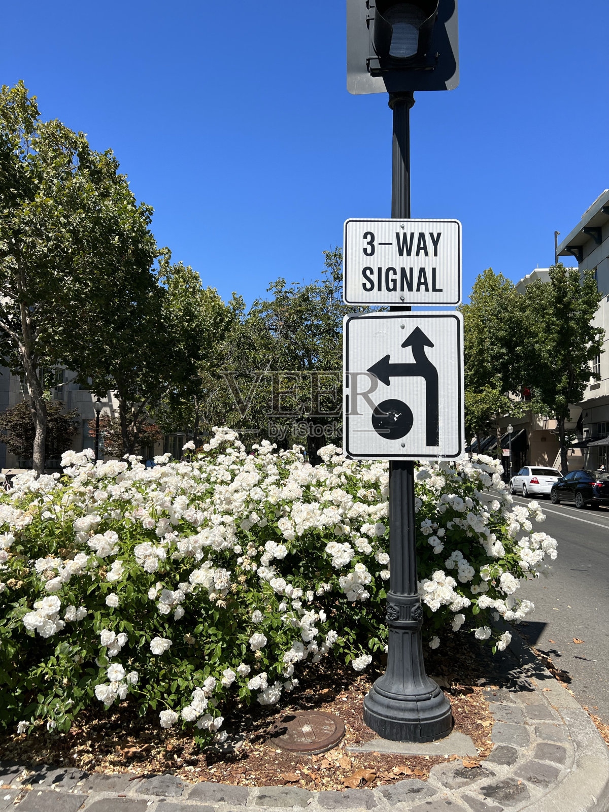加州山景城照片摄影图片