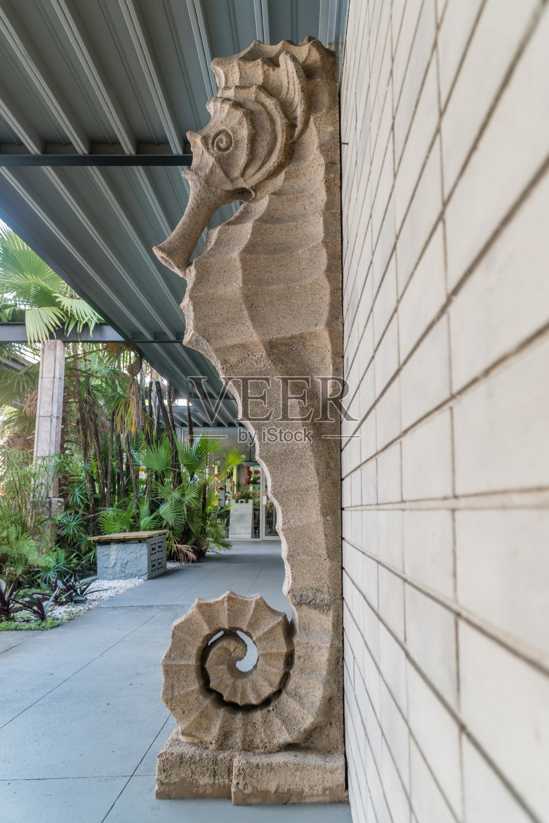 海马雕像照片摄影图片