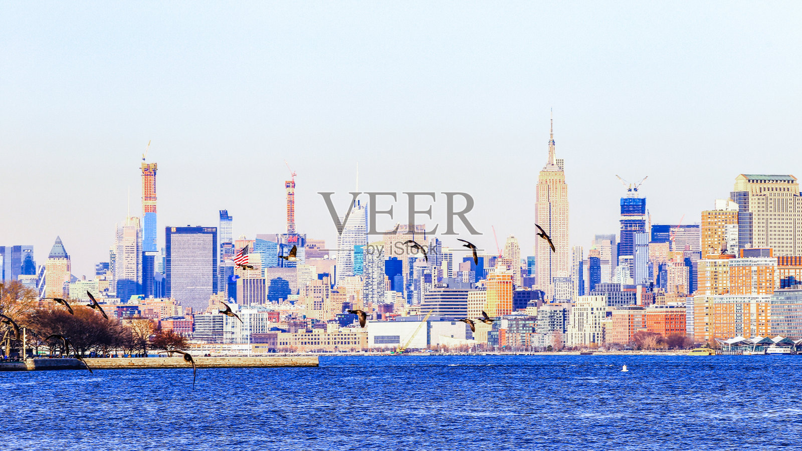 飞越纽约市的加拿大鹅照片摄影图片