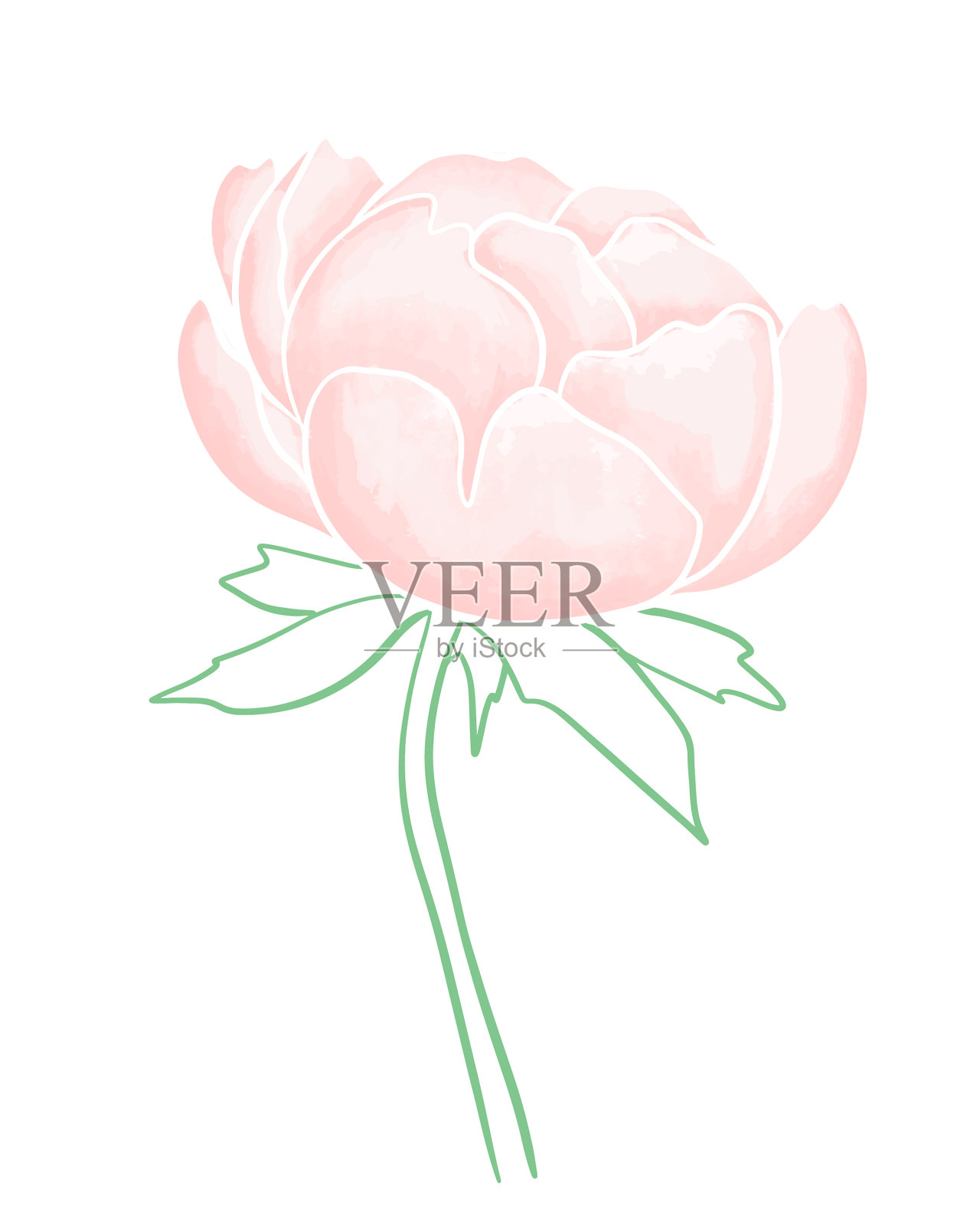 淡粉色牡丹水彩画设计元素图片