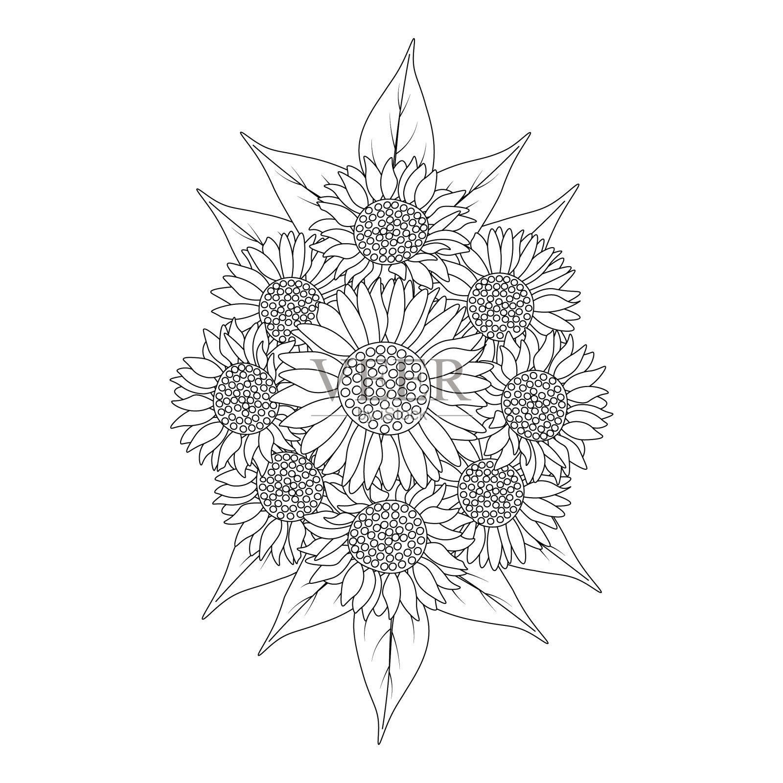 向日葵涂色页铅笔画设计插画图片素材