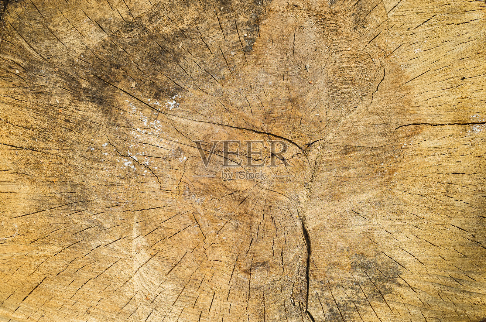 用于设计和装饰的老木近景墙背景。纹理美丽的抽象表面墙纸和背景照片摄影图片