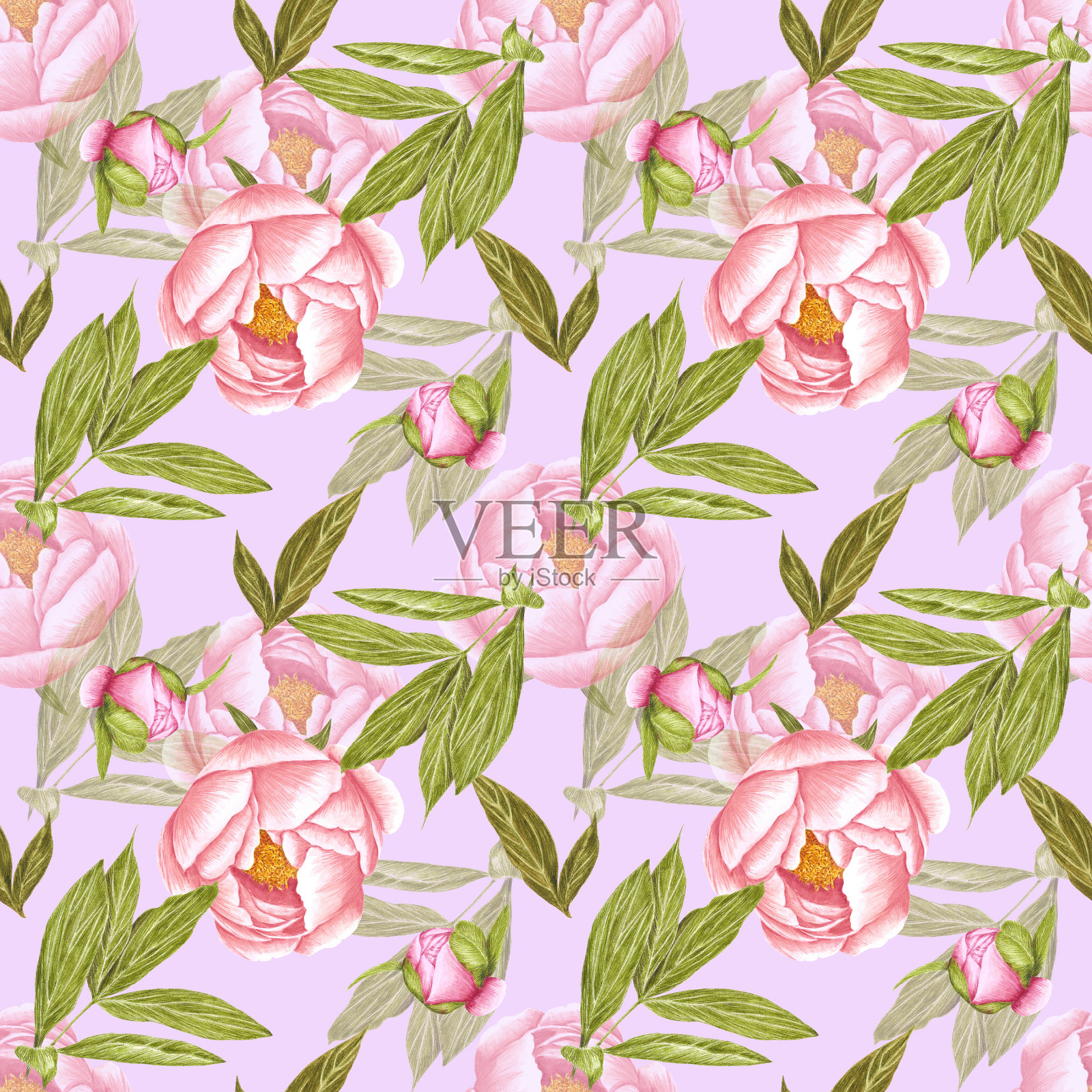 手绘牡丹花无缝图案。水彩画的粉红色牡丹花和芽与绿色的叶子在紫色的背景。剪贴簿设计，排版海报，标签，横幅，纺织品。插画图片素材