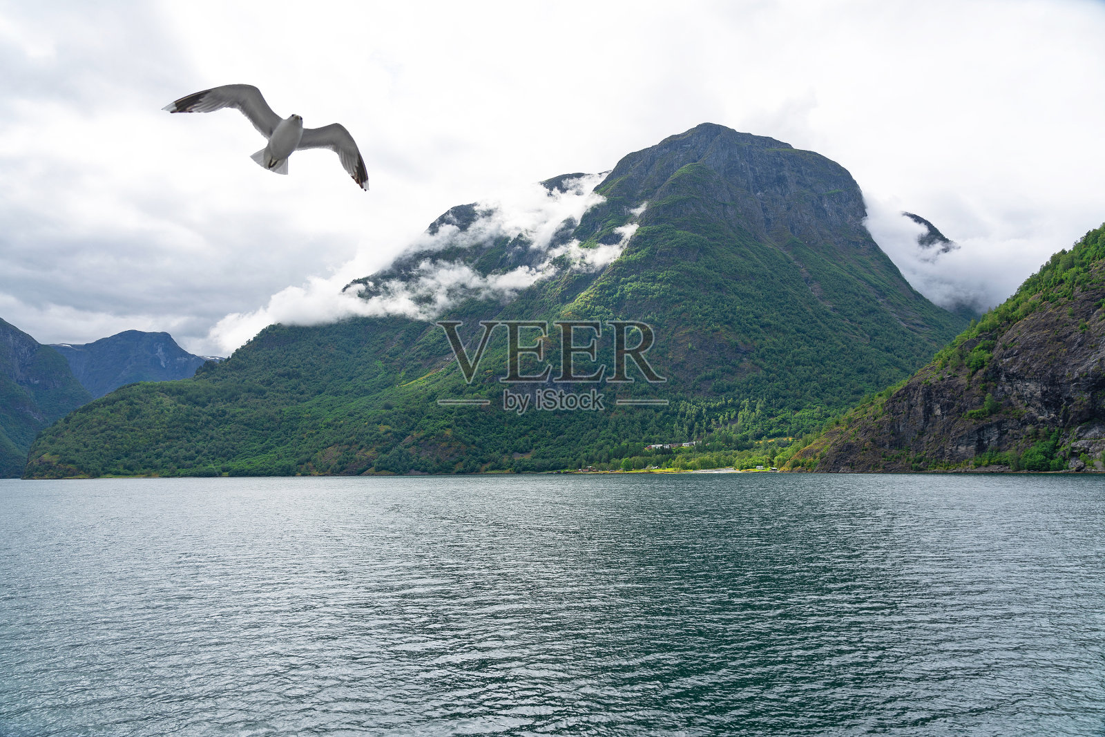 挪威的Sognefjord山海景观照片摄影图片