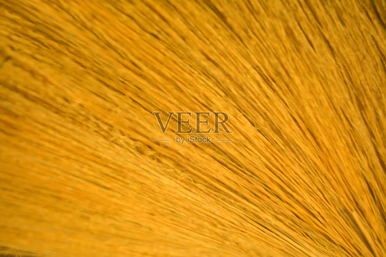 黄色草花纹理抽象背景照片摄影图片