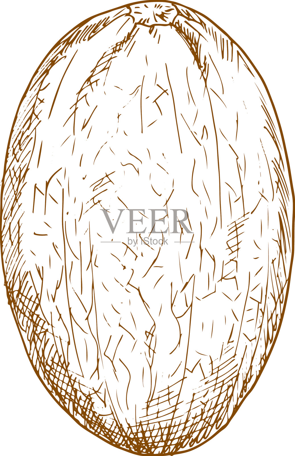 成熟的西瓜水果设计元素图片