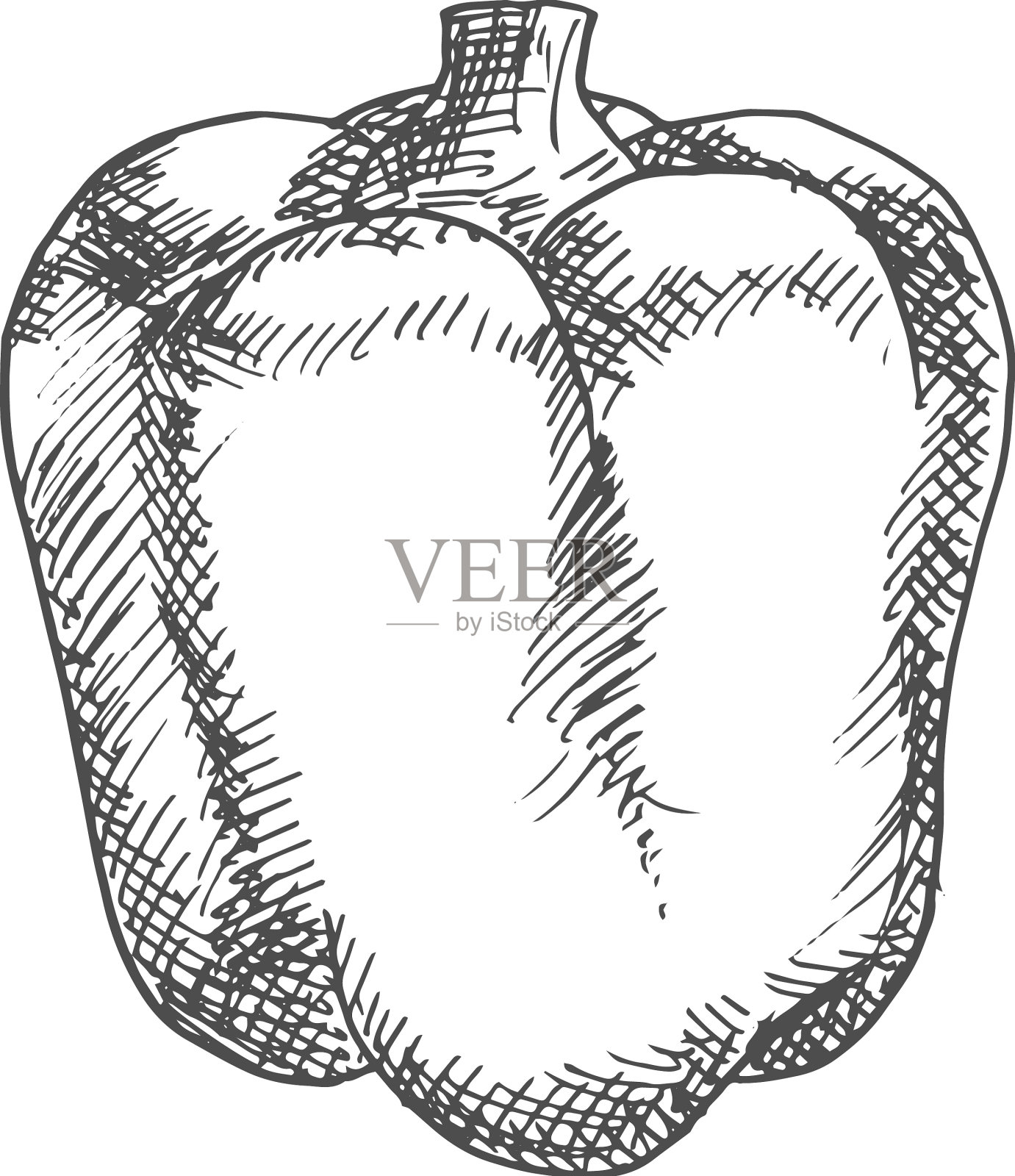保加利亚甜甜椒蔬菜素描设计元素图片