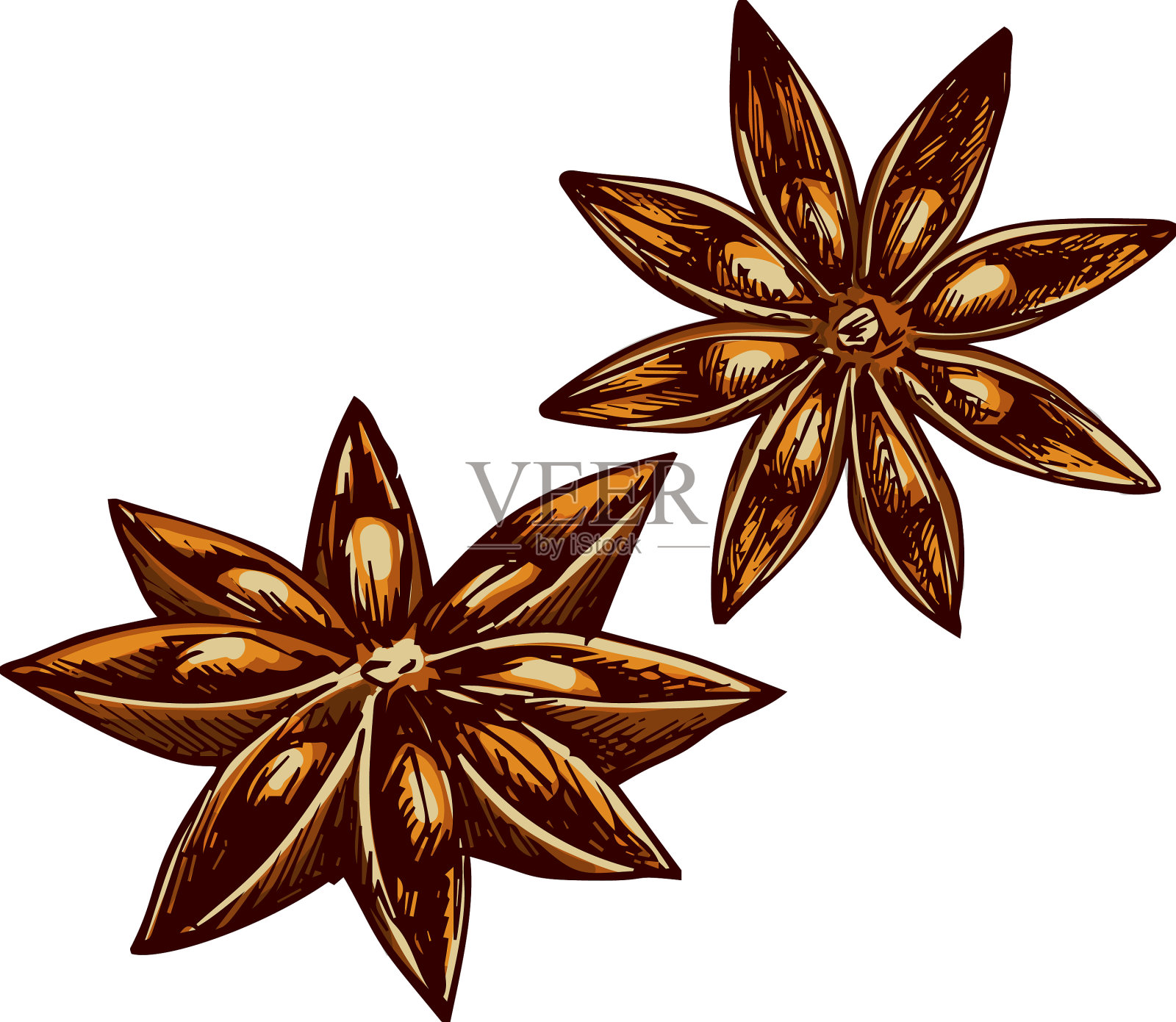 八角干果佐料孤立调味设计元素图片