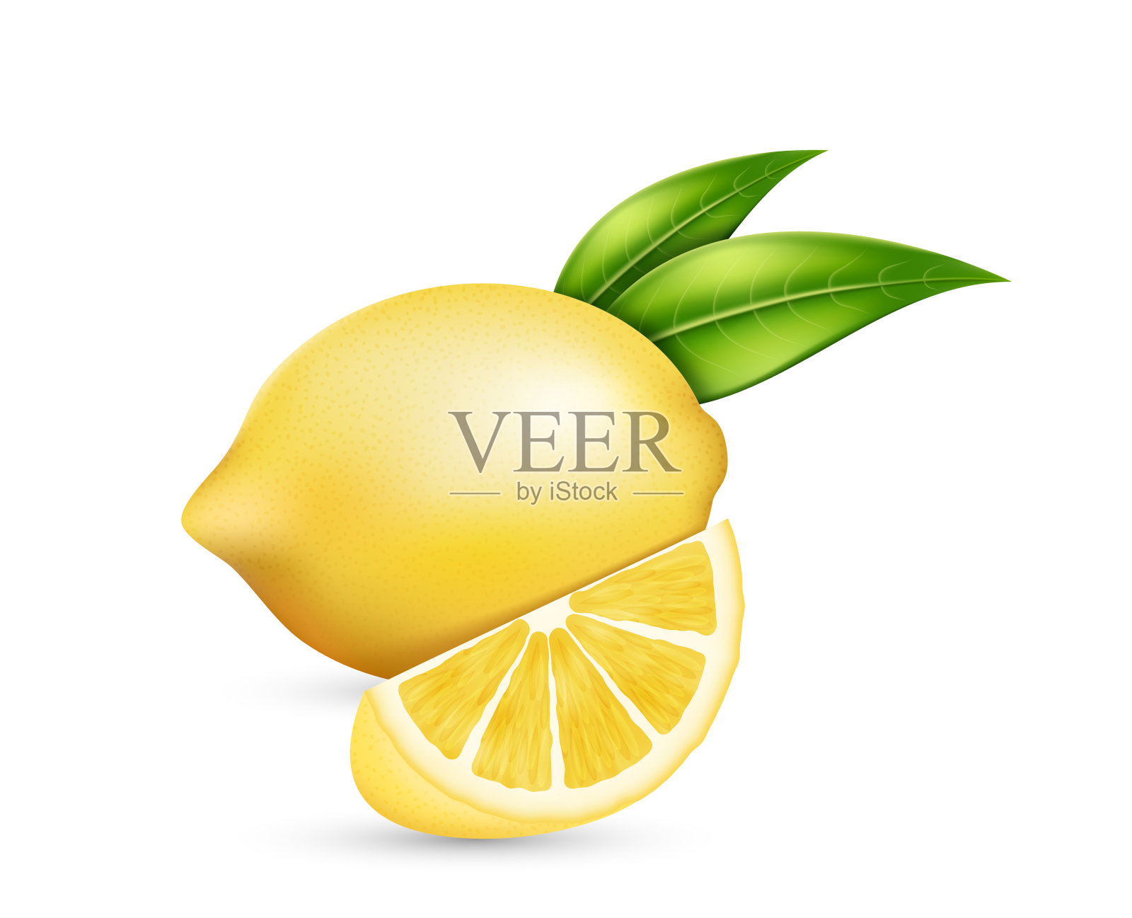 逼真的柠檬与绿叶切片和整个多汁柑橘。带黄色果皮的酸的新鲜水果插画图片素材