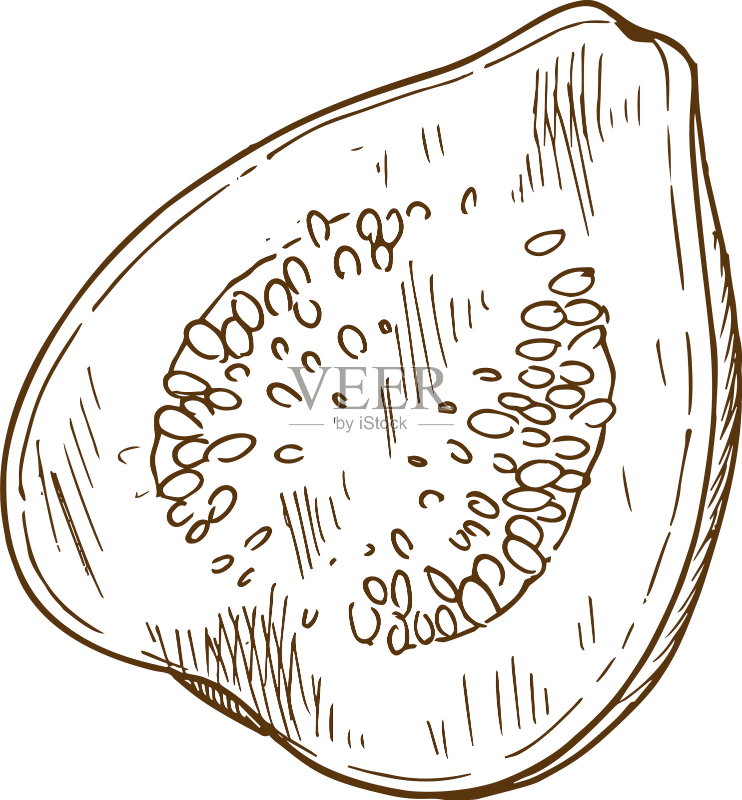 奇异的番石榴，有绿叶的热带水果设计元素图片