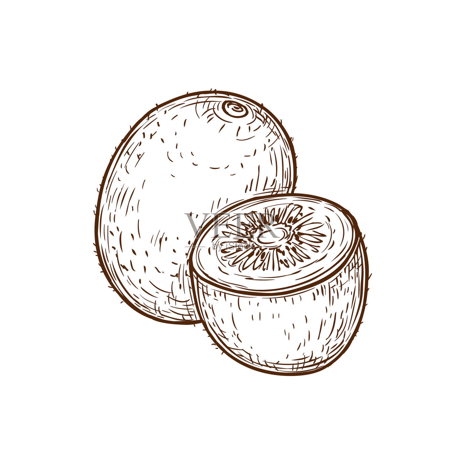 整个猕猴桃和半切猕猴桃分离示意图设计元素图片