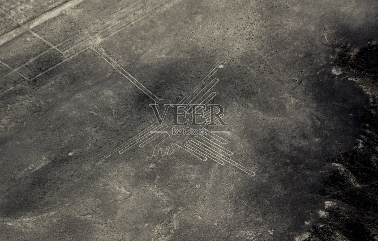 秘鲁纳斯卡沙漠中从空中看到的兽形地雕照片摄影图片