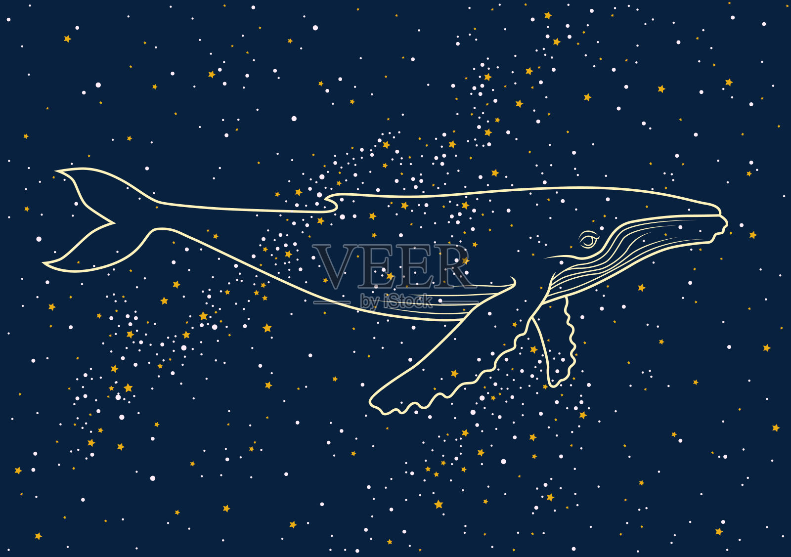 可爱的鲸鱼在夜空中游泳插画图片素材