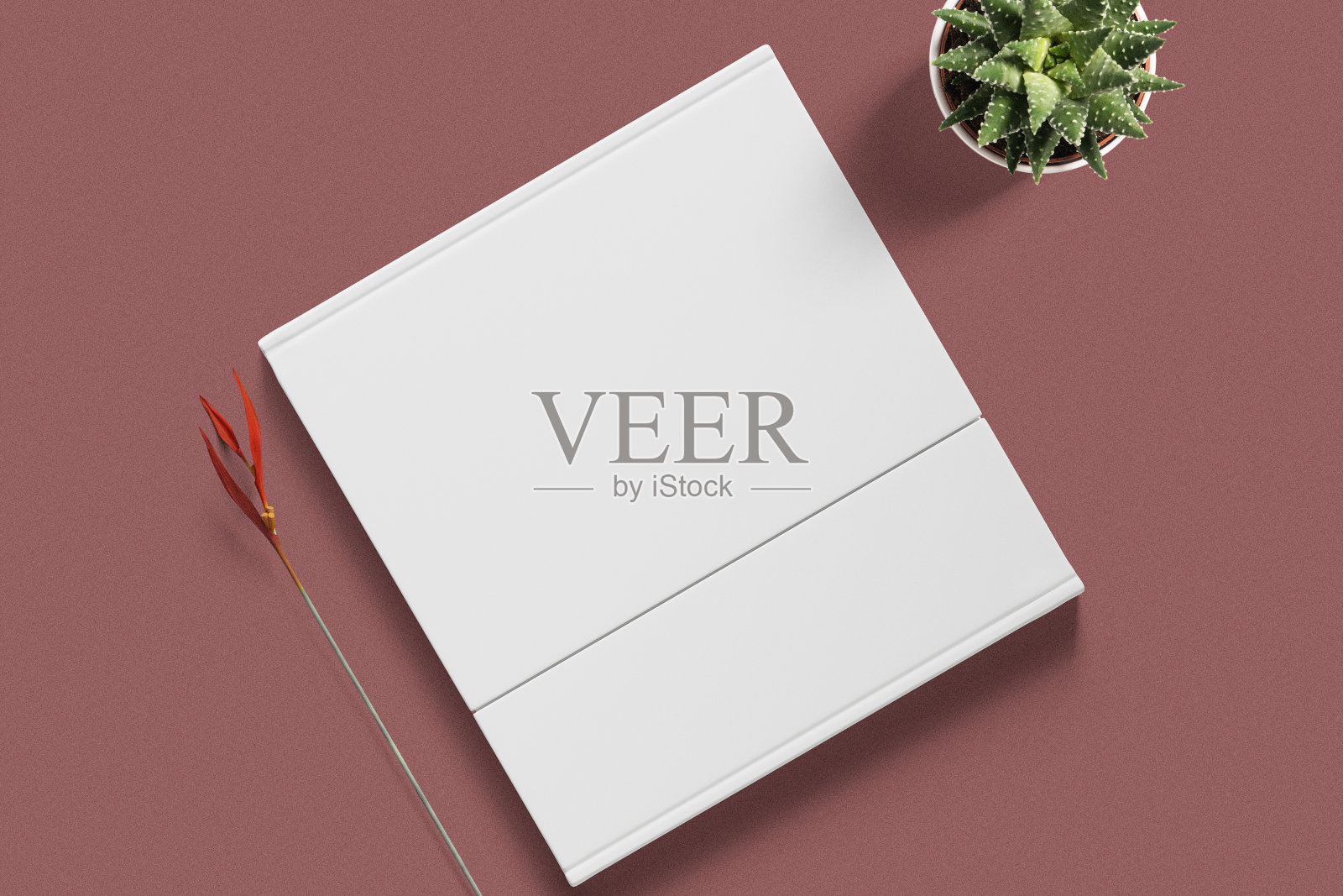 清洁最小的封面方形书模型的背景与植物照片摄影图片