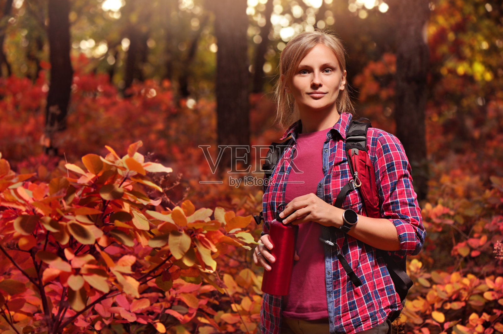 秋天森林里美丽的徒步旅行者照片摄影图片