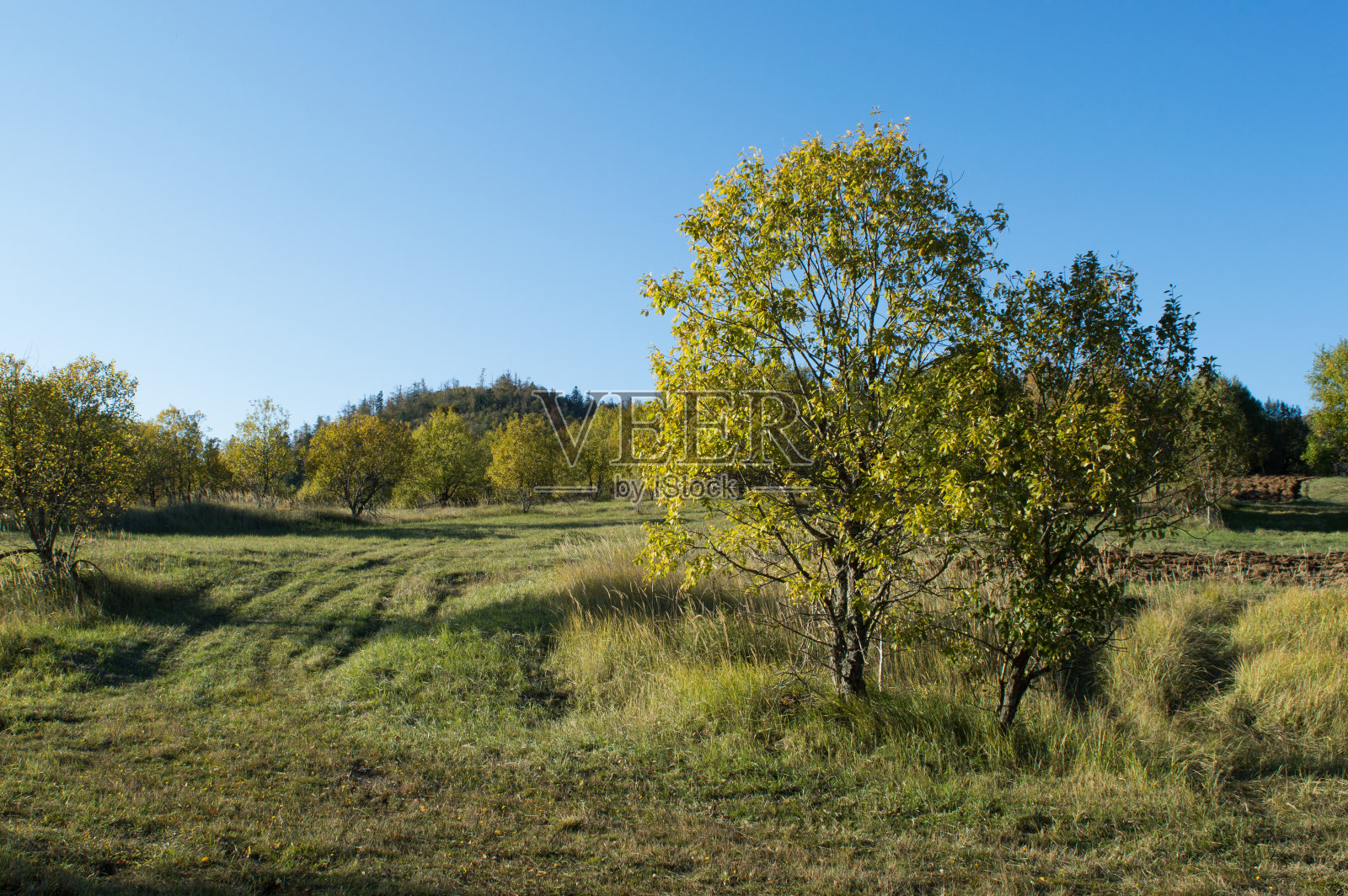 农村景观照片摄影图片