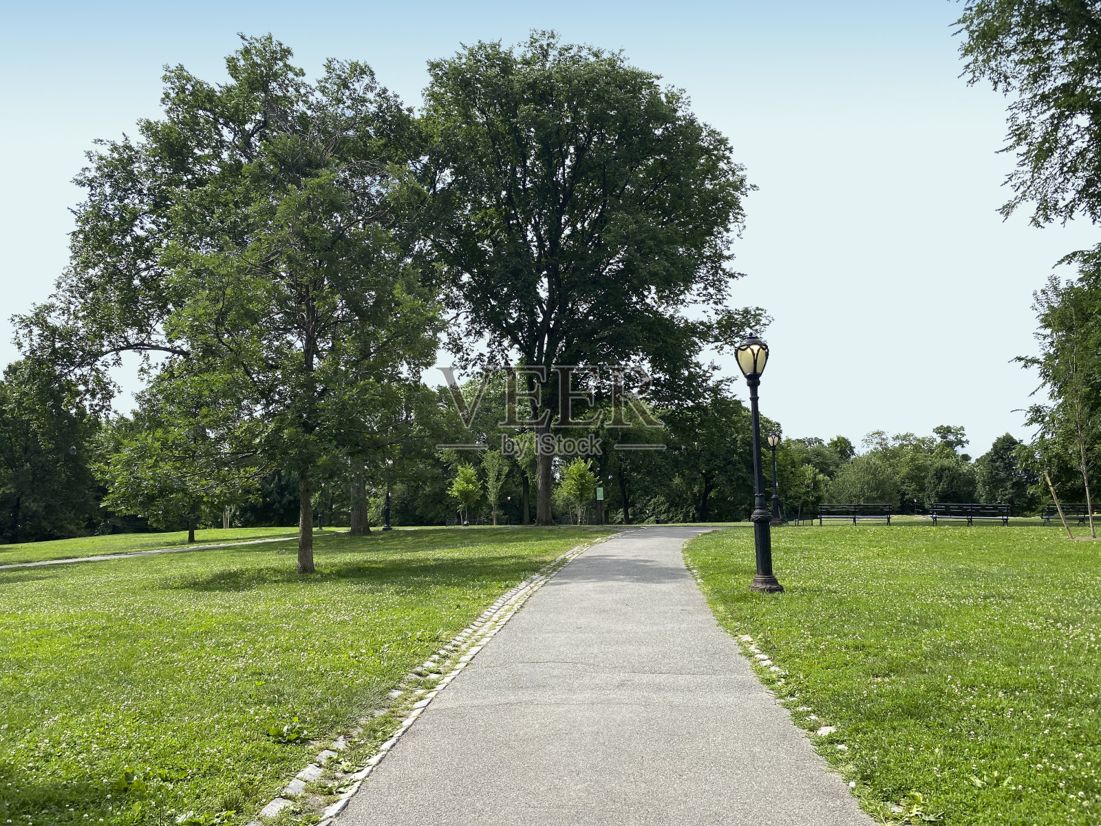 中央公园的细节照片摄影图片