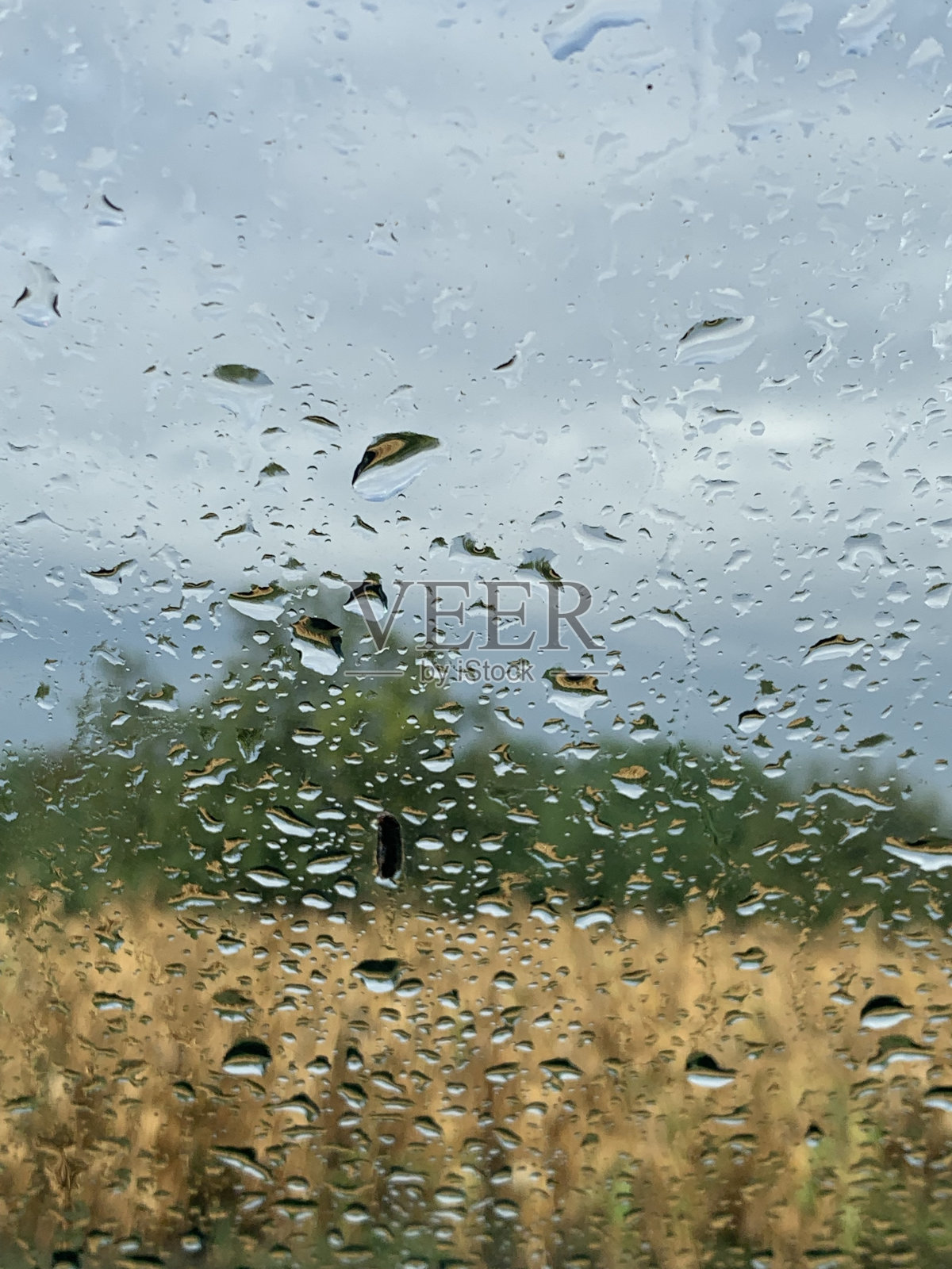 雨后雨滴落在窗玻璃上照片摄影图片