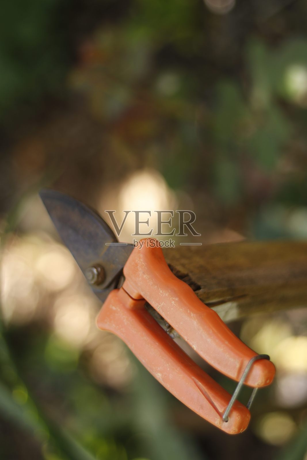 修枝剪照片摄影图片