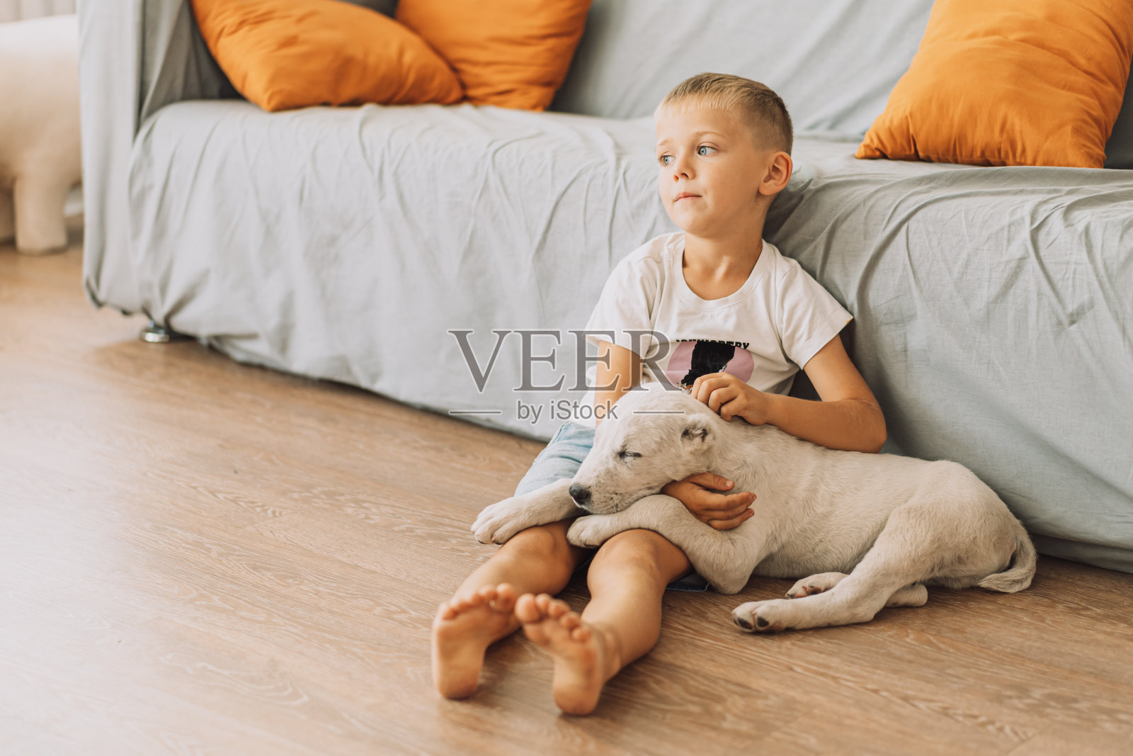 小狗睡觉时把头靠在男孩的脚上照片摄影图片