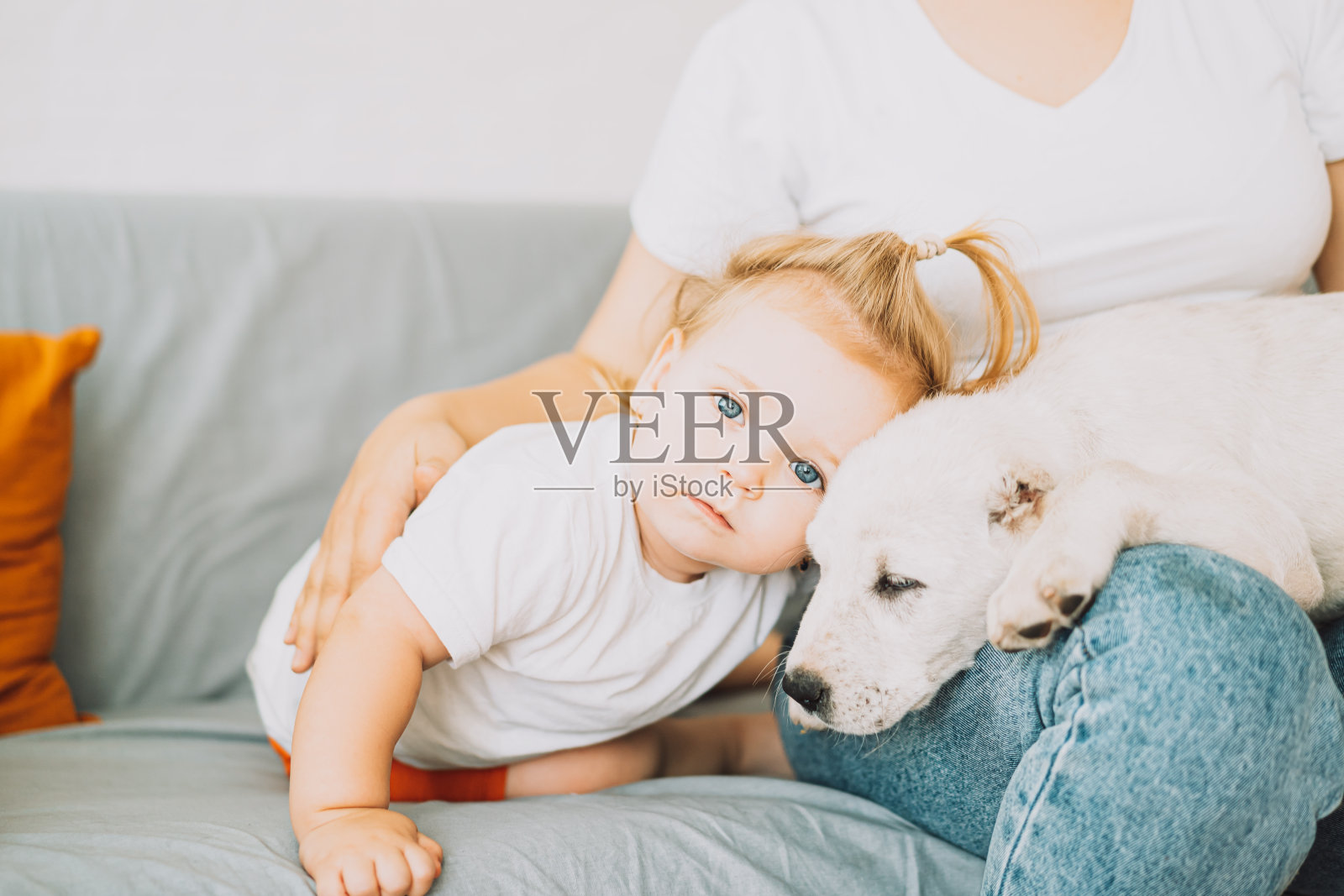 一个女孩抱着一只小狗和一个小女孩照片摄影图片