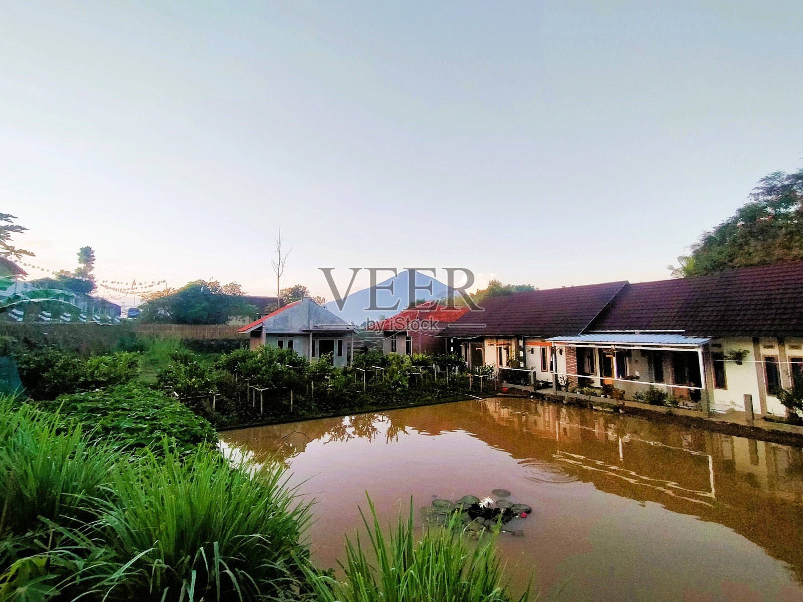 鱼池照片摄影图片