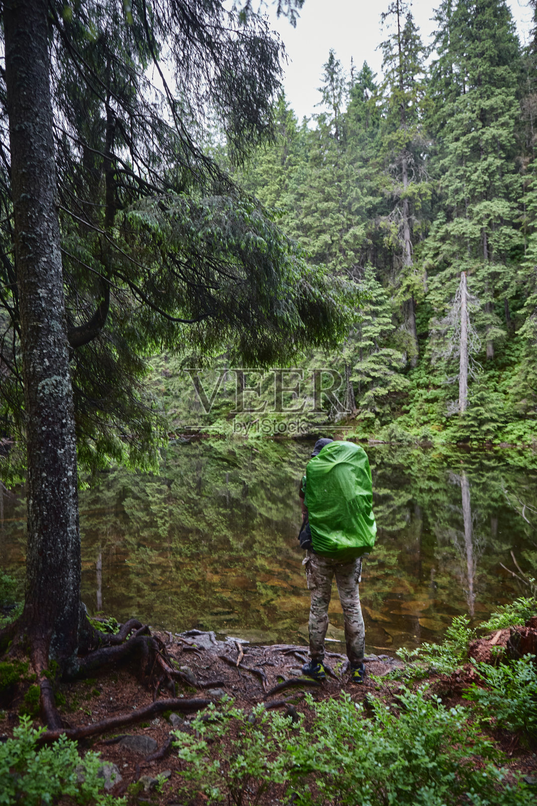 大自然美丽的乌克兰。游人站在幽安森林湖，四周是松树。喀尔巴阡山脉，阿什卡，乌克兰照片摄影图片