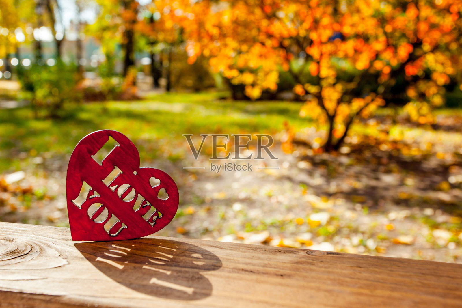 红色的木心在明亮的阳光灿烂的黄色公园背景照片摄影图片