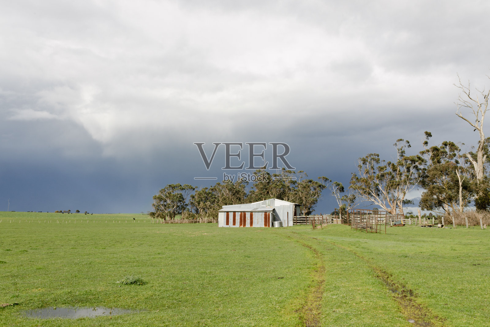 在澳大利亚的一个农场里，有一个波纹状的铁棚，绿草茵茵，后面的地面是阴沉的天空，有通向棚子的轮胎印。照片摄影图片
