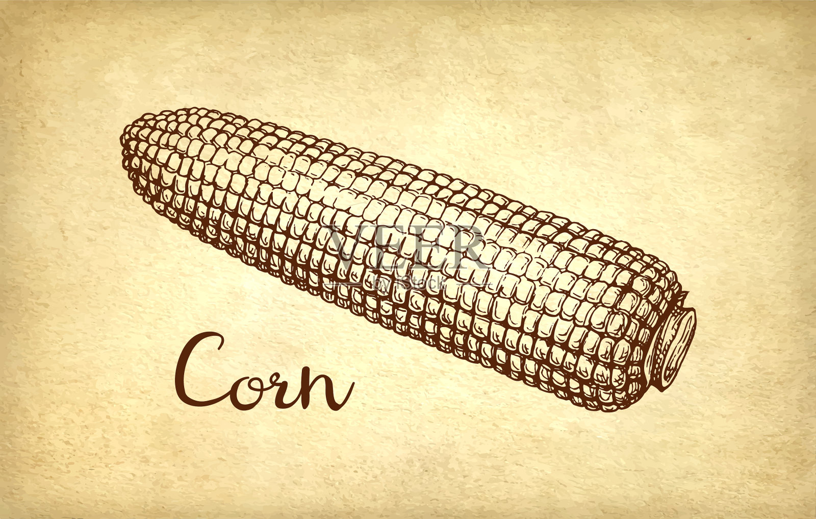 玉米水墨画插画图片素材