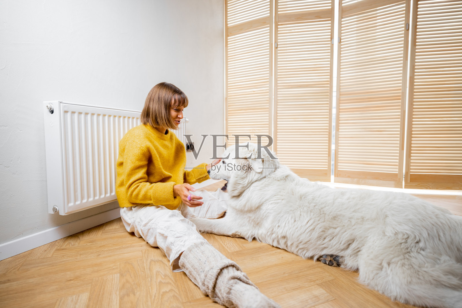 女人在家里和她的狗玩照片摄影图片