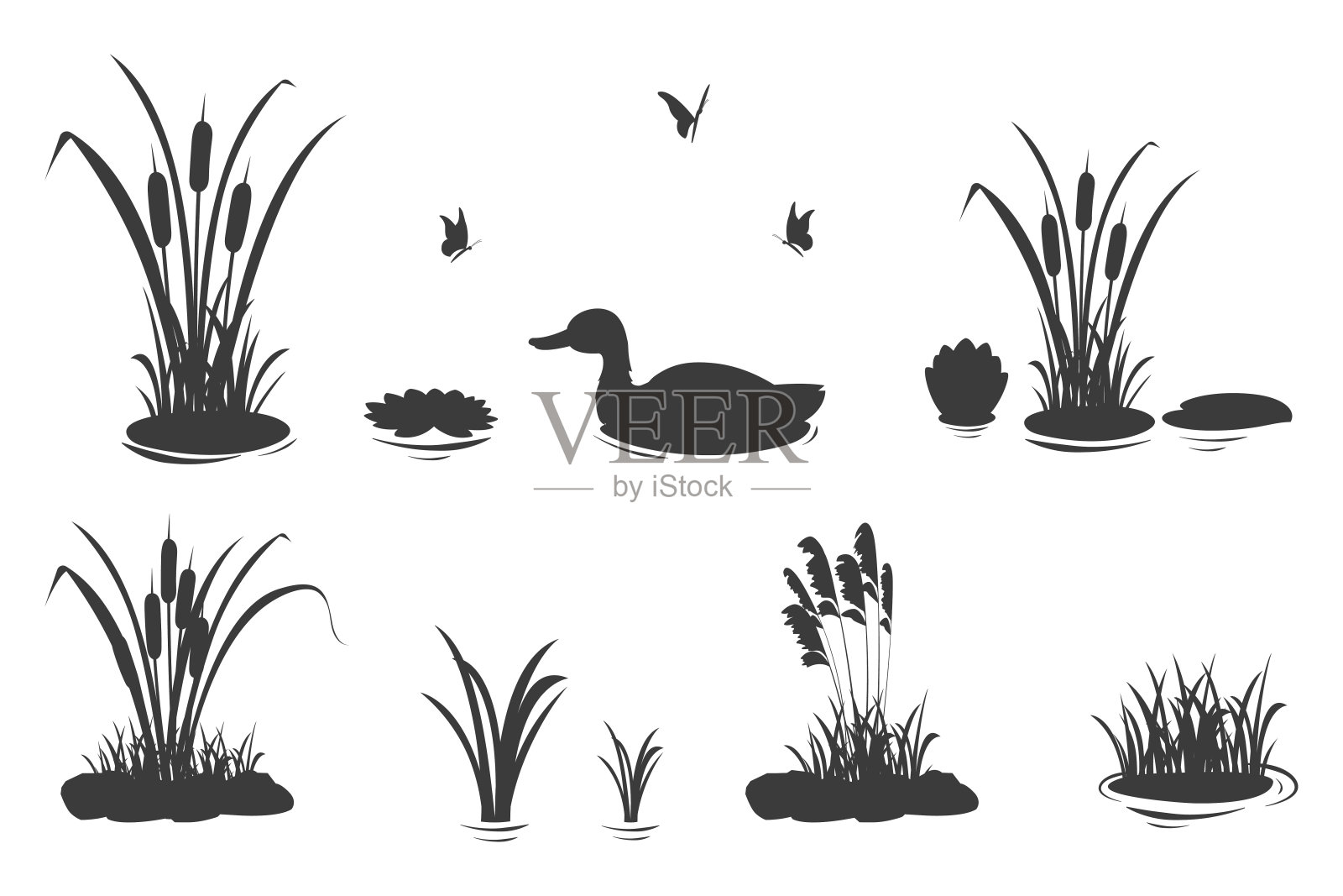 沼泽草的剪影元素与芦苇和鸭子。湖泊和河流植被的黑色阴影的一组矢量插图。插画图片素材
