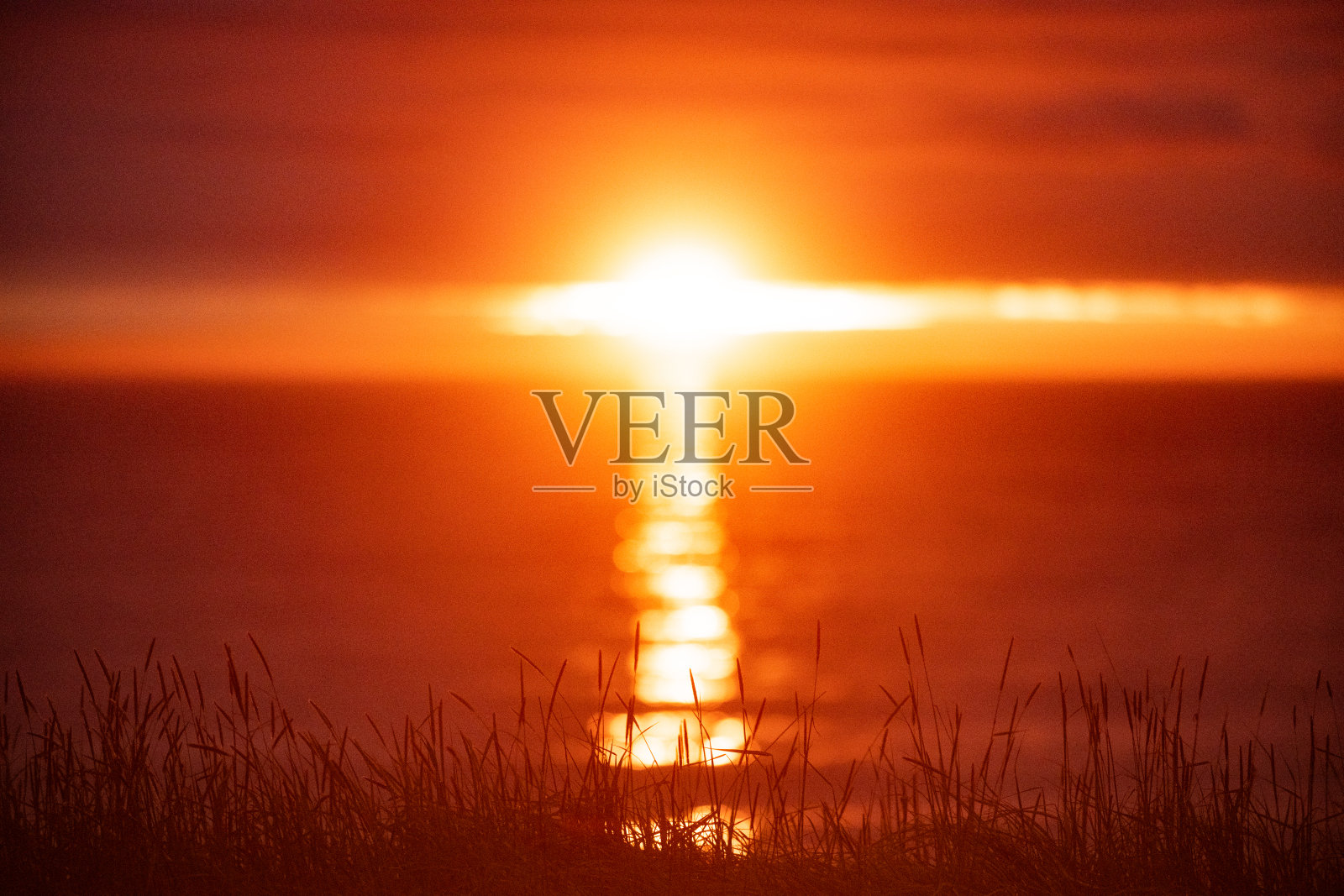 夏天午夜日落在海洋与草地前景北冰岛照片摄影图片