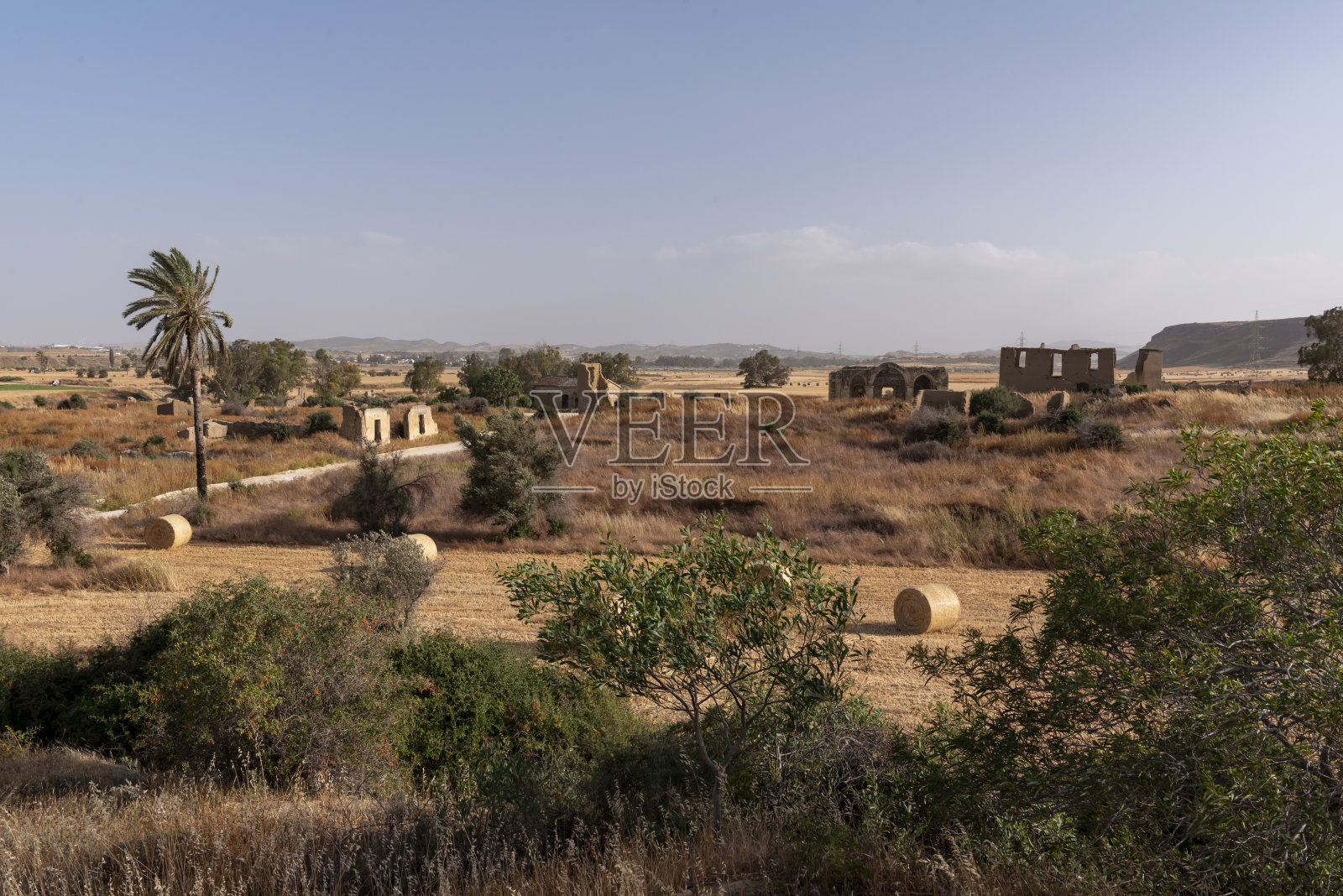 远处长满杂草的教堂废墟和土坯住宅，在干旱地区，有干旱的田地和单一的椰枣照片摄影图片