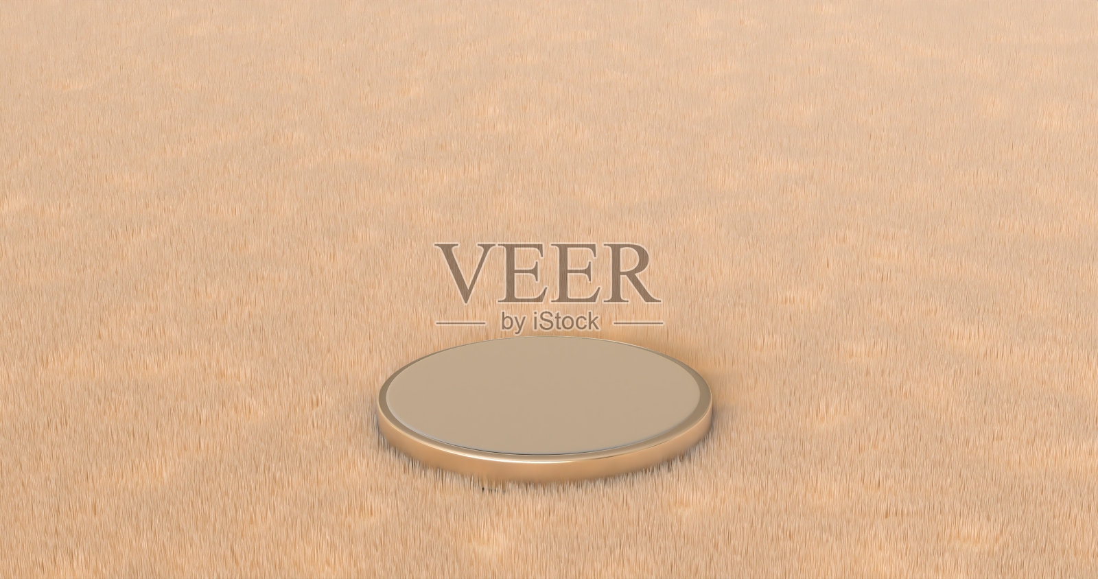 毛皮地毯上的特殊金属平台。三维演示照片摄影图片