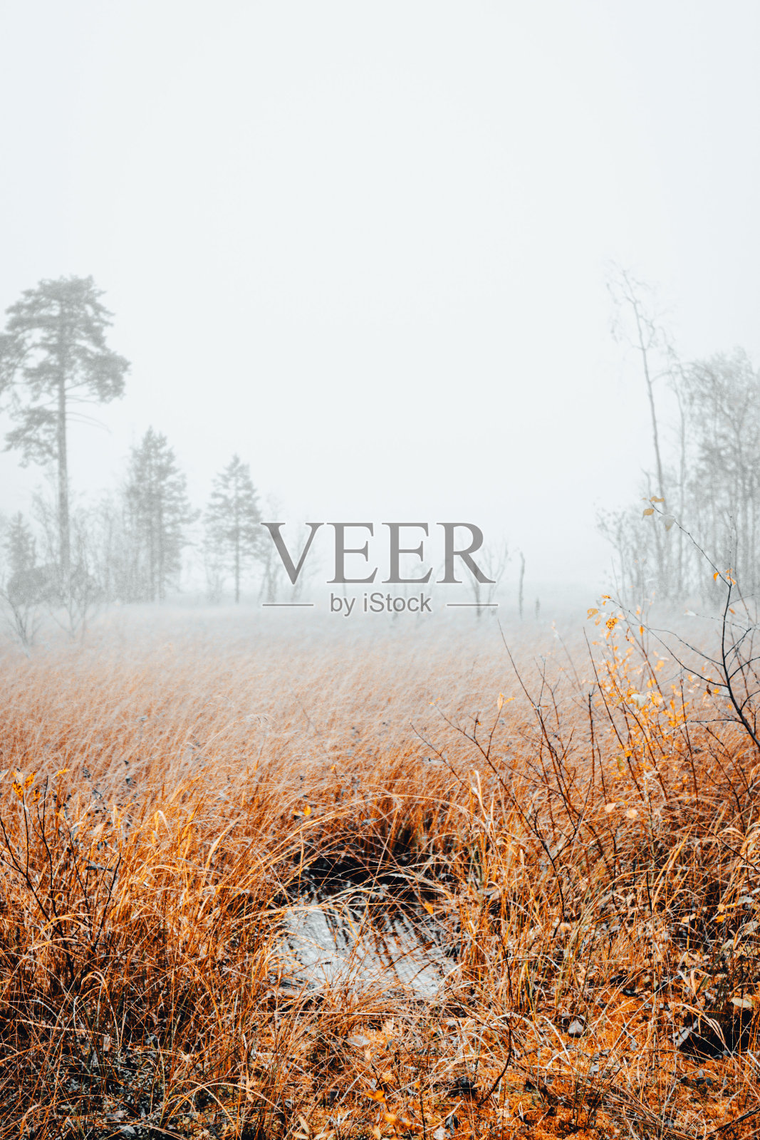 秋天照片摄影图片