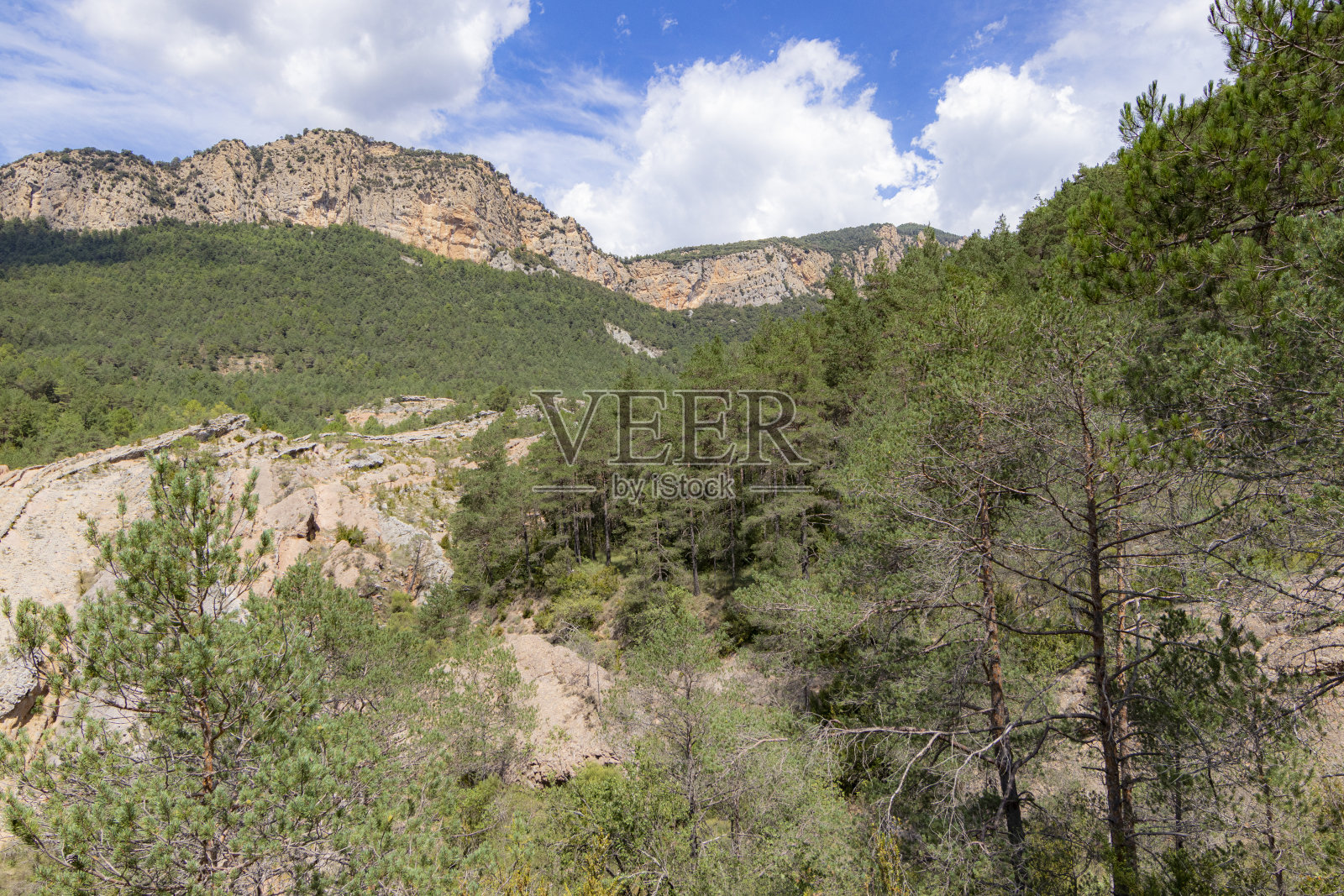 我爱你照片摄影图片