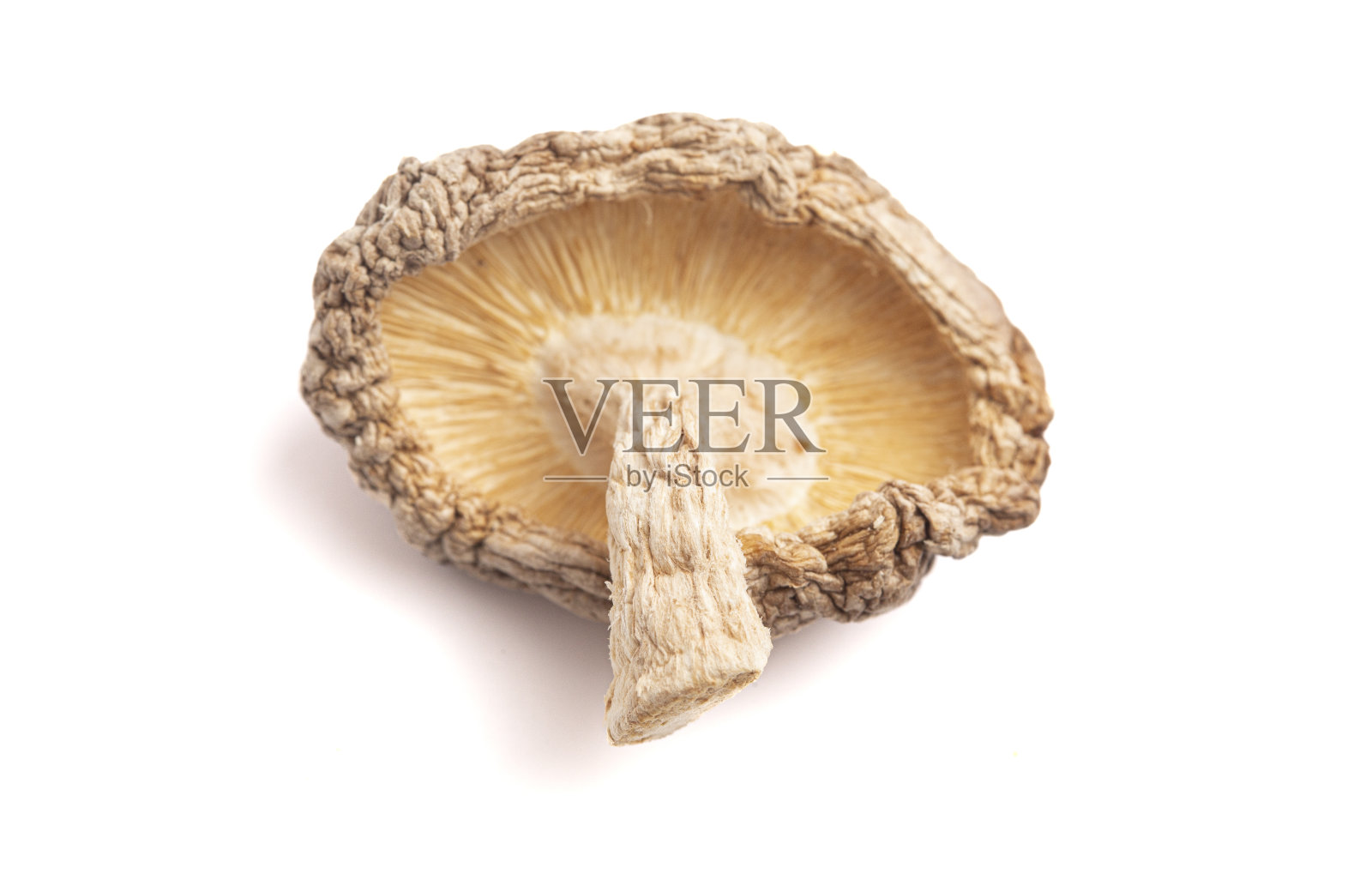 在白色背景上分离的单个干香菇照片摄影图片