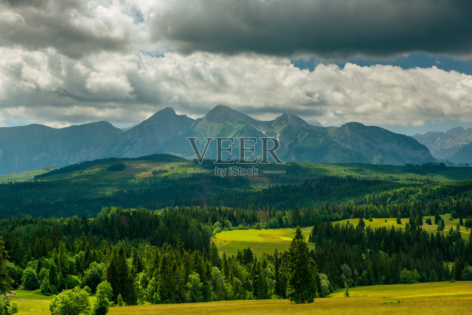塔特拉山的风景，茂盛的绿色草地和树木在夏天照片摄影图片