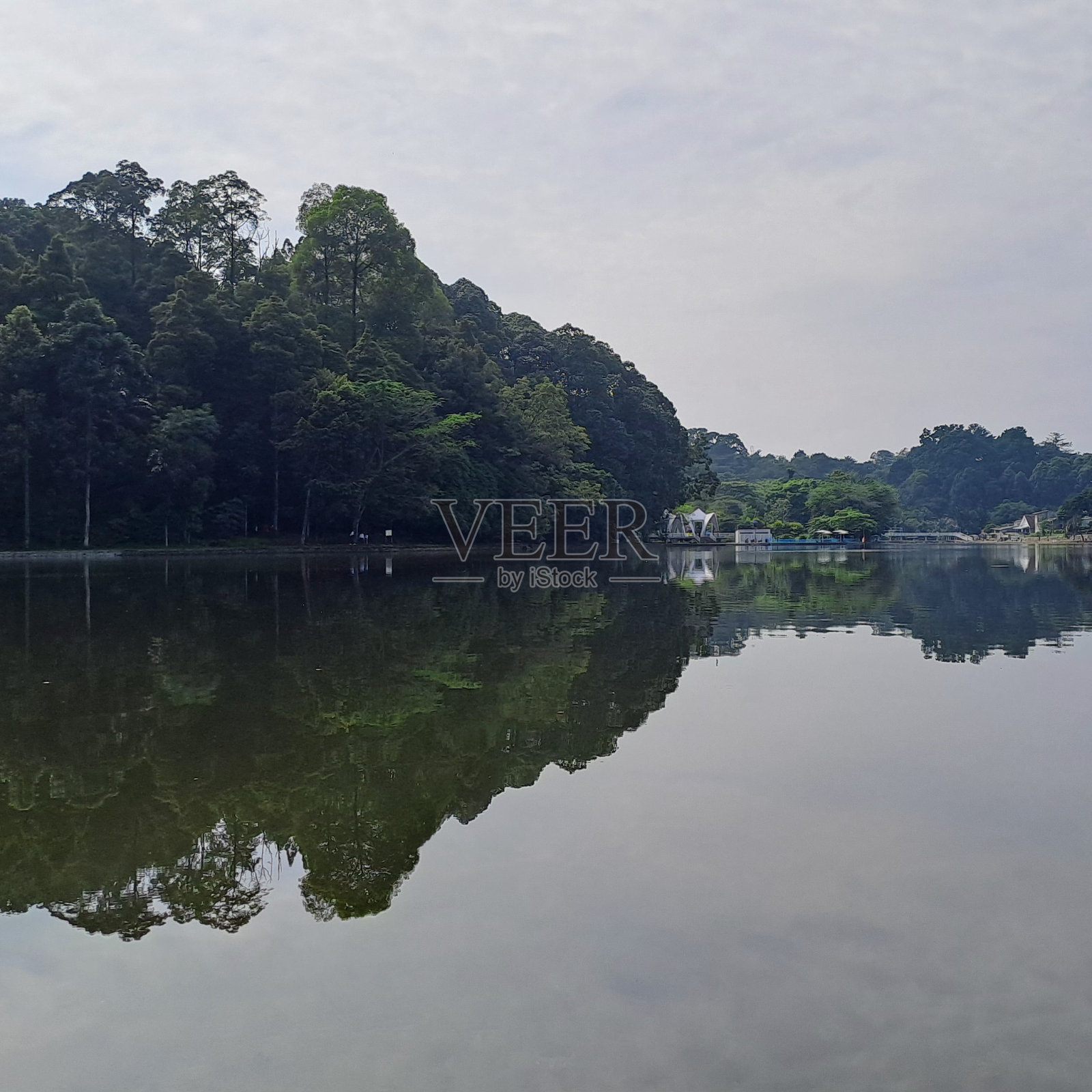 湖泊和森林照片摄影图片