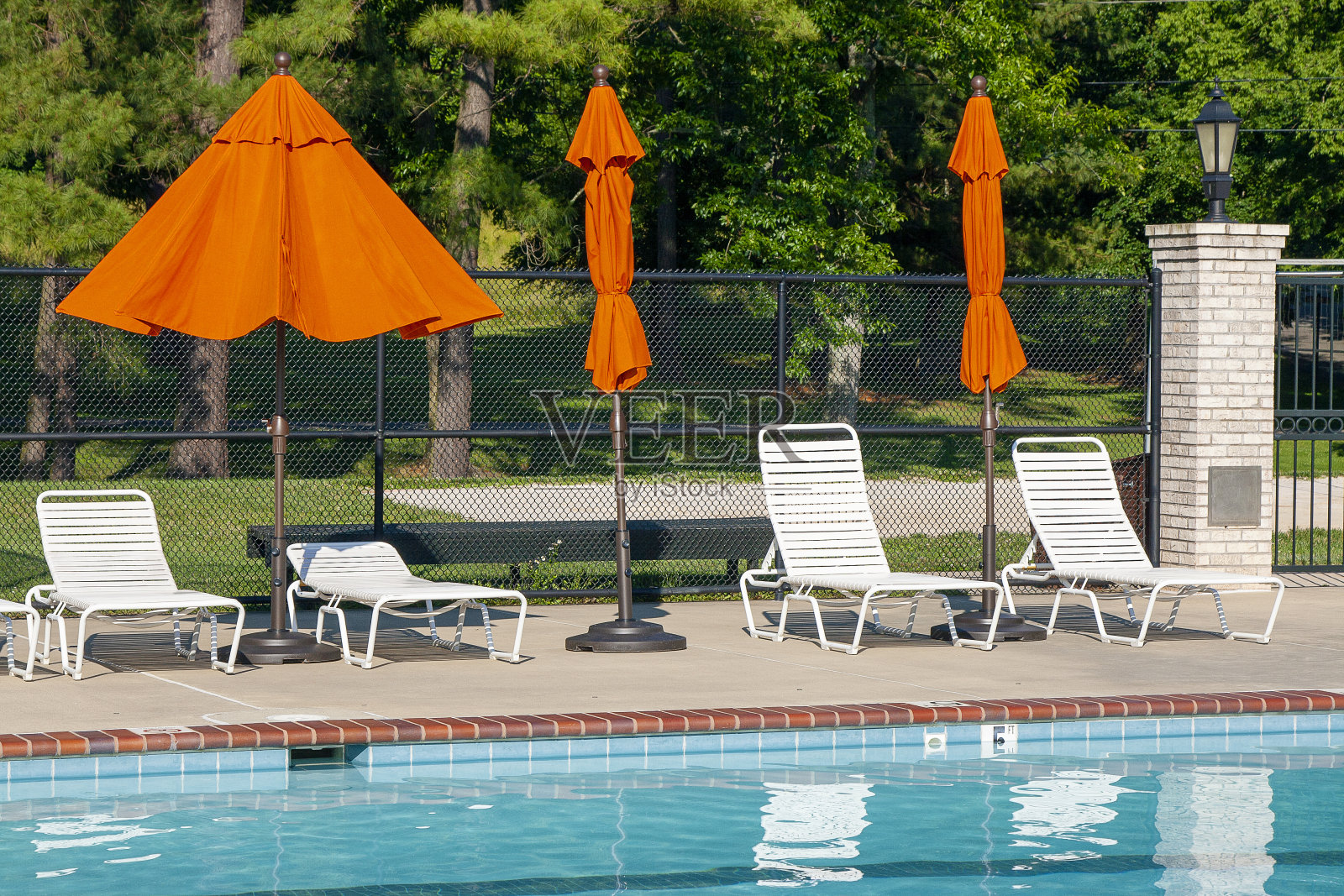 在游泳池边照片摄影图片