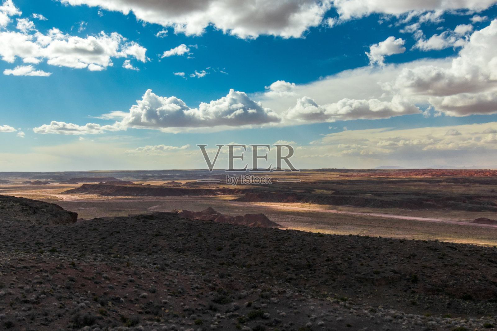 石化森林国家公园，亚利桑那州照片摄影图片