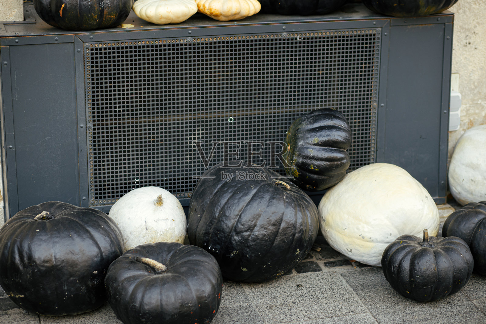 黑色南瓜现代装饰户外。时尚的秋季装饰外观建筑照片摄影图片