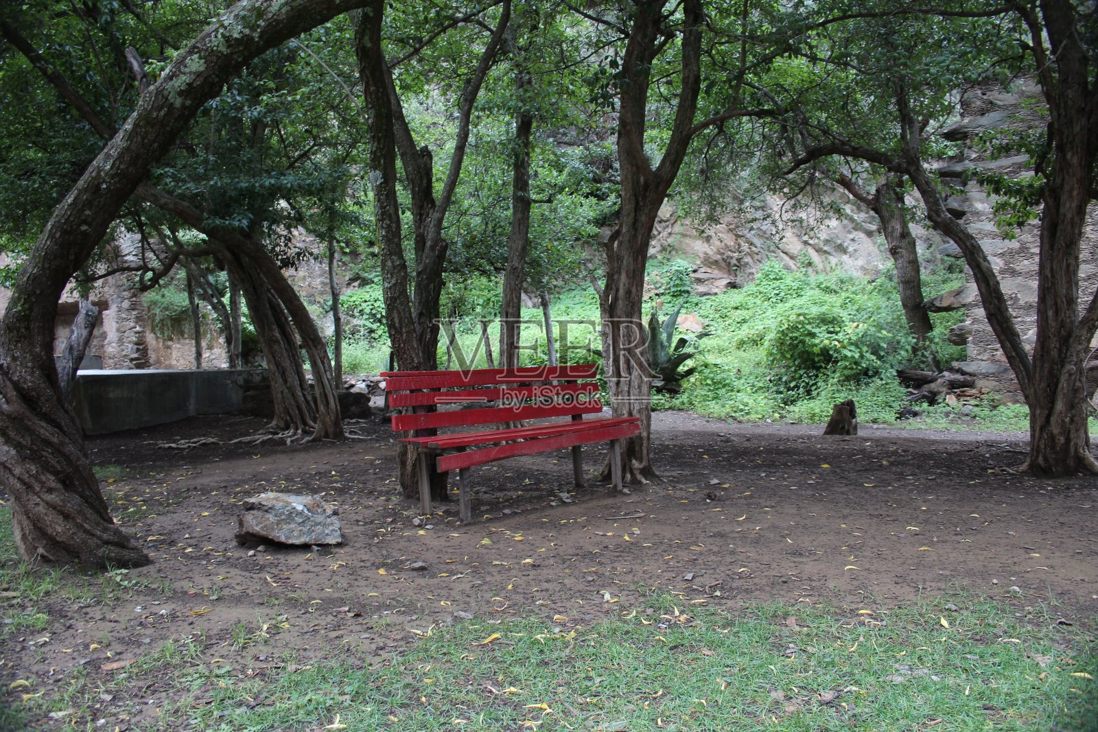 皇家十四之旅照片摄影图片