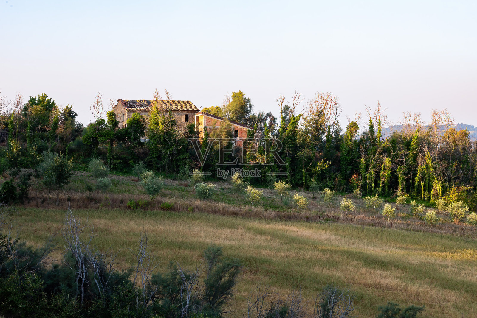 意大利佩萨罗和塔武里亚之间山丘上的田地里被遗弃的房子照片摄影图片
