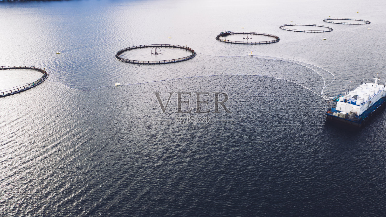 挪威海的鲑鱼养殖。食品工业，传统工艺生产，环保。在被峡湾包围的北极水域中种植和捕捞鱼的圆形网的鸟瞰图照片摄影图片