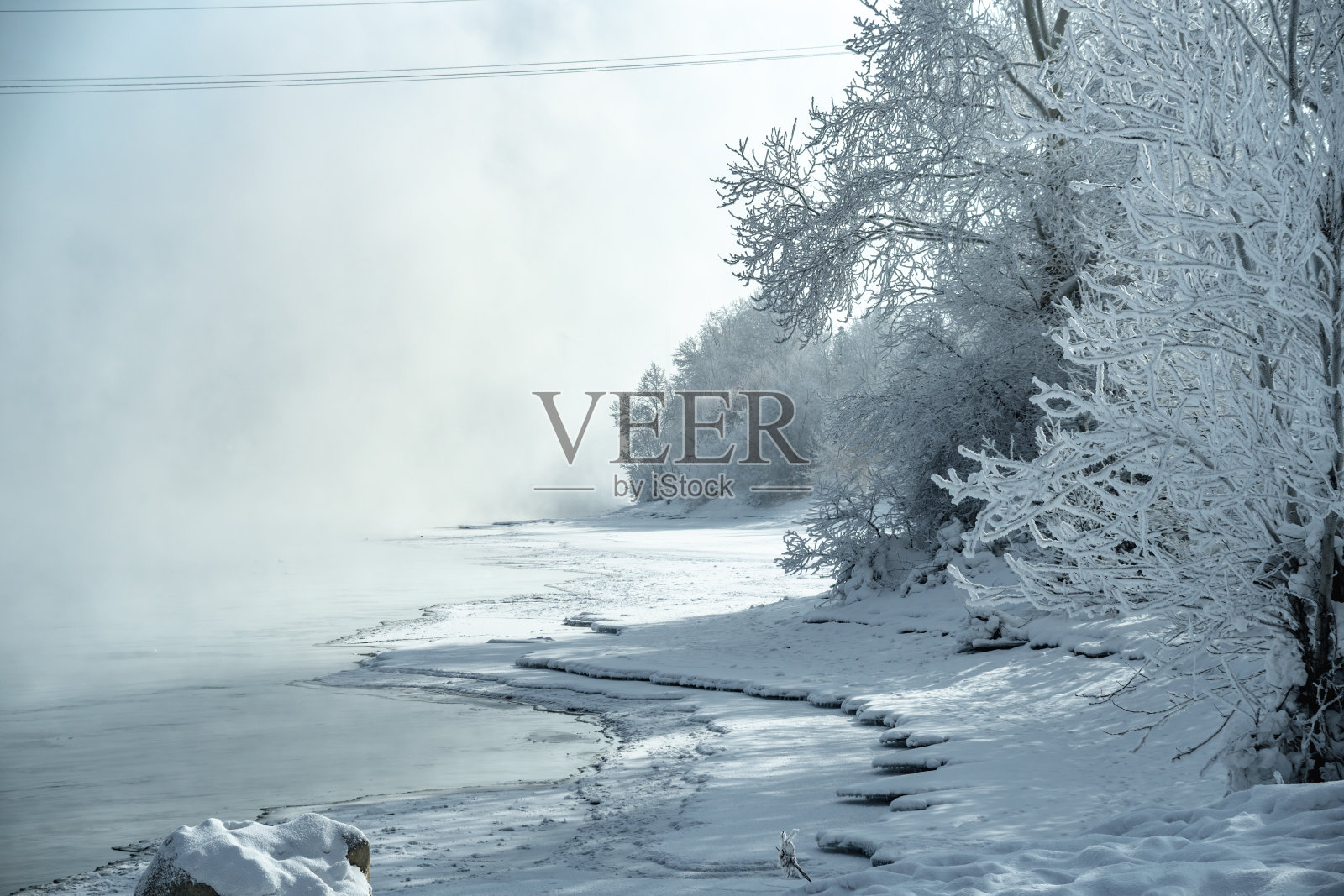 结冰的树枝上覆盖着白雪。大自然美丽的冬季奇观。冬天的背景照片摄影图片